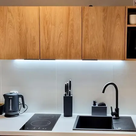 Srebrna Ostoja 65- Atlas Arena, Piotrkowska, Manufaktura, Prywatny Parking *