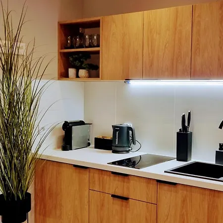 Srebrna Ostoja 65- Atlas Arena, Piotrkowska, Manufaktura, Prywatny Parking Apartament