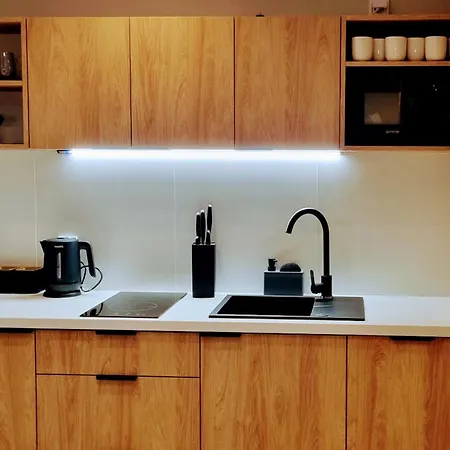 Apartament Srebrna Ostoja 65- Atlas Arena, Piotrkowska, Manufaktura, Prywatny Parking Łódź