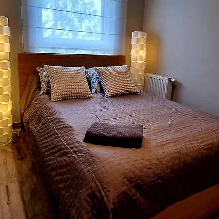 Srebrna Ostoja 65- Atlas Arena, Piotrkowska, Manufaktura, Prywatny Parking Appartement