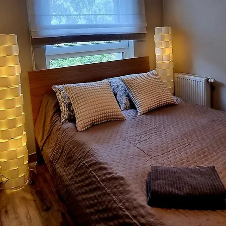 Apartament Srebrna Ostoja 65- Atlas Arena, Piotrkowska, Manufaktura, Prywatny Parking