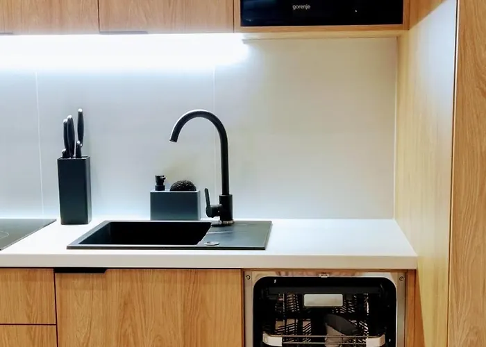 Lejlighed Srebrna Ostoja 65- Atlas Arena, Piotrkowska, Manufaktura, Prywatny Parking *