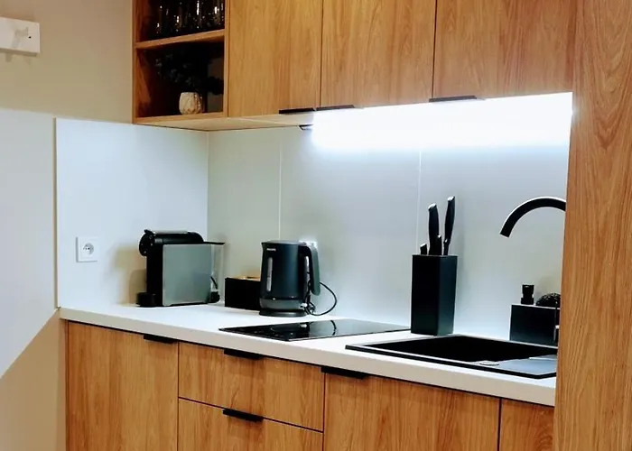 Srebrna Ostoja 65- Atlas Arena, Piotrkowska, Manufaktura, Prywatny Parking * Łódź