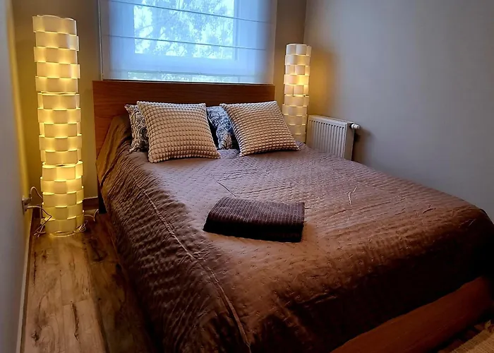 Srebrna Ostoja 65- Atlas Arena, Piotrkowska, Manufaktura, Prywatny Parking Lejlighed