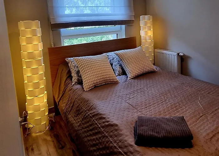 Appartement Srebrna Ostoja 65- Atlas Arena, Piotrkowska, Manufaktura, Prywatny Parking