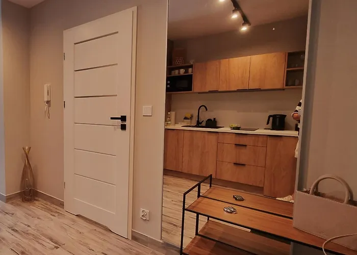 Appartement Srebrna Ostoja 65- Atlas Arena, Piotrkowska, Manufaktura, Prywatny Parking