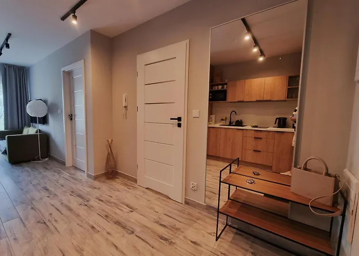 Appartement Srebrna Ostoja 65- Atlas Arena, Piotrkowska, Manufaktura, Prywatny Parking