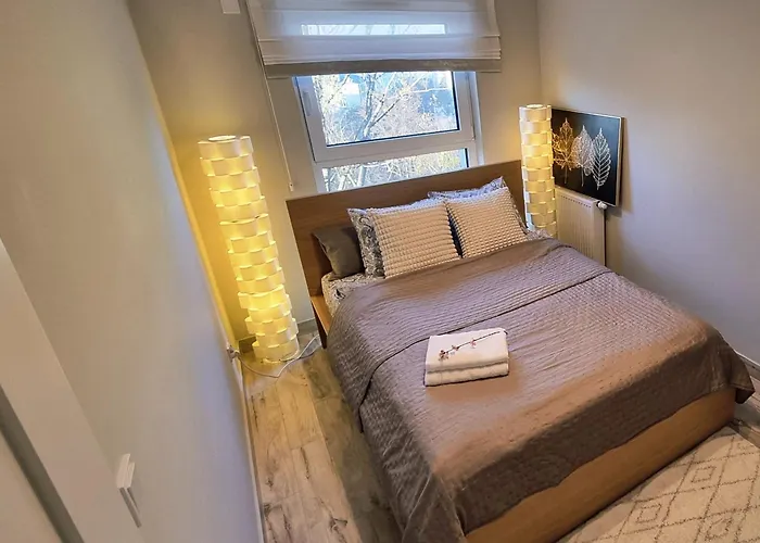 Srebrna Ostoja 65- Atlas Arena, Piotrkowska, Manufaktura, Prywatny Parking Lejlighed *