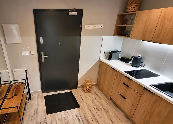 Srebrna Ostoja 65- Atlas Arena, Piotrkowska, Manufaktura, Prywatny Parking Lejlighed Łódź